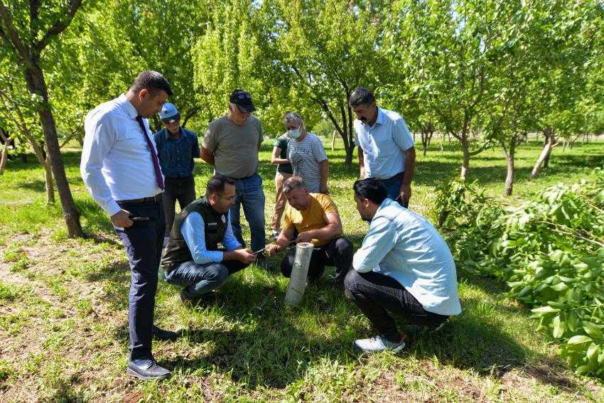 CEVİZDE DÖNÜŞÜM PROJESİ