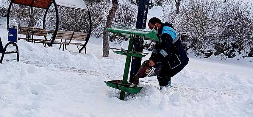 HACILAR’DA SOKAK HAYVANLARI UNUTULMUYOR