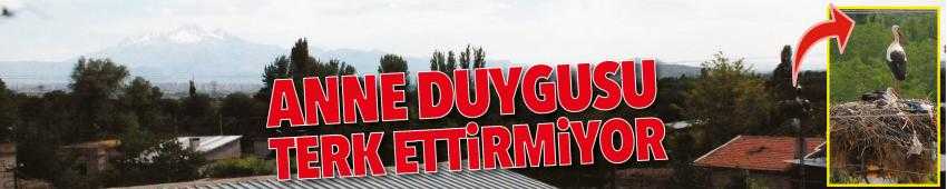 ANNE DUYGUSU TERK ETTİRMİYOR